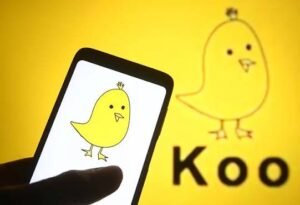 Failed Startups in India- Koo